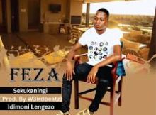 Weirdo2265 Ft. Feza - Sekukaningi