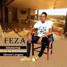 Weirdo2265 Ft. Feza - Sekukaningi 