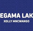 Xolly Mncwango - Ngegama Lakho