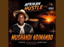 Afrikan Hustle - Mushandi ndiMambo (Afro-Sungura Version)