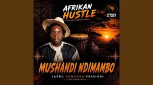 Afrikan Hustle - Mushandi ndiMambo (Afro-Sungura Version)