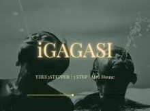Babalwa M & Dlala Thukzin – IGAGASI ft. Thukuthela, Sykes,Oscar Mbo & JAZZWRLD