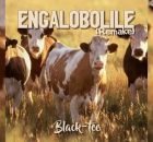 Black-tee - Engalobolile (Remake)