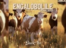 Black-tee - Engalobolile (Remake)