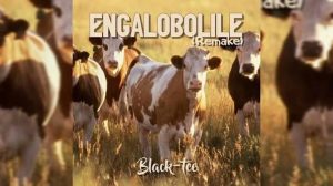 Black-tee - Engalobolile (Remake)