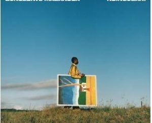 Bongeziwe Mabandla – Ndingubani