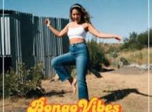 BongoVibes - Skeur hom
