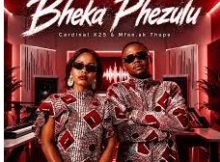 Cardinal X25 x Mfan.ak Thupa – Bheka Phezulu