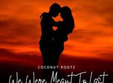 Coconut Rootz – We were meant to be