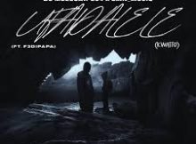DJ Mellcaw 204, F3 Dipapa & LMN_MusiQ – Ufadalele (Kwaito)