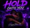 Deejay Zebra SA – Hold onto You