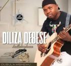 Diliza Debese Ndlabeybuza - Isiponono sami Ft. Shenge