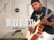 Diliza Debese Ndlabeybuza - Isiponono sami Ft. Shenge
