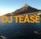 Dj Tease - Amapiano latest Mix 2026 (Afternoon sessions)