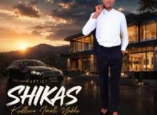 Dlamini Shika's Mshikashika – Luyimalini kwithimu yokqala