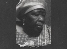 Dzo 729, Seun1401 & Mitjo SA – Mapule