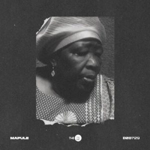 Dzo 729, Seun1401 & Mitjo SA – Mapule