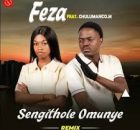 Feza ft Chulumanco M – Sengithole Omunye (Remix)