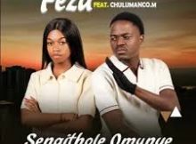 Feza ft Chulumanco M – Sengithole Omunye (Remix)