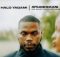 Halo Yagami ft Mlindo The Vocalist & Njilour – Aysabhekani