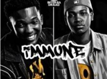Inter B & Draad – Immune