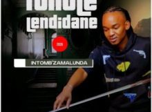 ALBUM: Ithole lendidane – Ntomb’zamalunda