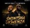 Kabza De Small & Dj Maphorisa - Shintsha Ukwenza