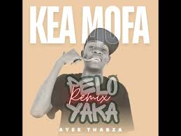 Kea Mofa pelo yaka remix – Ayee thabza