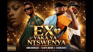 King Monada - EX yaka ya Ntswenya ft Shapa Memie & Shebeshxt x DJ janisto & Dr skaro