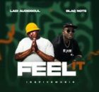 Ladi Adiosoul & Blaq Note – FEEL IT