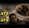 Magic Wacho – Kure-Kure (Ndinonzwa Nani)