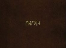Marcus Harvey – Mapula