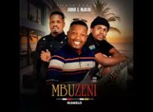 Mbuzeni Mkhize - Ikamelo