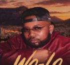 Mihlali The Guy, Dankie Boi, Mr Thela & Cairo CPT ft Sino Msolo & Konke – Wo Lo