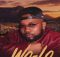 Mihlali The Guy, Dankie Boi, Mr Thela & Cairo CPT ft Sino Msolo & Konke – Wo Lo
