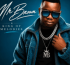 Mr Brown, Feli Nandi & BlissBouy – Zvorema