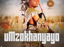 Mzokhanyayo – NGISHIMISWE INKANI Ft. SHENGE WASEHLALANKOSI