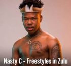 Nasty C – Freestyles in Zulu