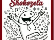 Officixl RSA, Lowbass Djy & Ndibo Ndibs – Shokozela (feat. Mellow & Sleazy & Matute Boy)