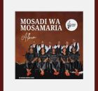 Poroza Poroza - Mosadi wa Mosamaria mixtape