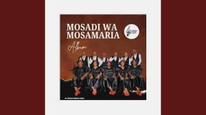 Poroza Poroza - Mosadi wa Mosamaria mixtape