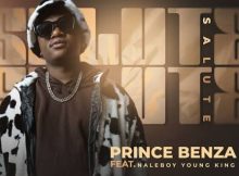 Salute – Prince Benza Feat Naleboy Young King