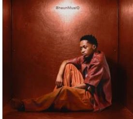 ShaunMusiq, Bassie & LeeMcKrazy – Ngiyak’cela (feat. Mashudu)
