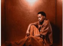ShaunMusiq, Bassie & LeeMcrazy ft Mashudu – Ngiyak’cela