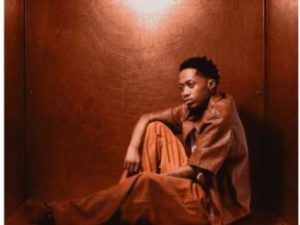 ShaunMusiq, Bassie & LeeMcrazy ft Mashudu – Ngiyak’cela
