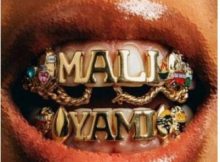 Sir Trill, Udoti Udemedi, Snaka & K-Zaka ft Born Kxng & Deestar ZA – Mali Yami