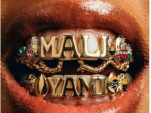 Sir Trill, Udoti Udemedi, Snaka & K-Zaka ft Born Kxng & Deestar ZA – Mali Yami
