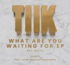 Sky White & Auna Wave – What Are You Waiting For (Extended Mix)