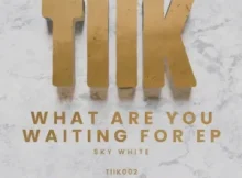 Sky White & Auna Wave – What Are You Waiting For (Extended Mix)
