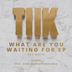 Sky White & Auna Wave – What Are You Waiting For (Extended Mix)
